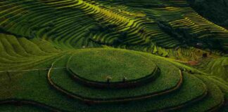 Découvrir le Nord ou le Sud du Vietnam