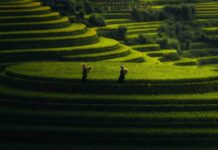 Nord, Centre ou Sud du Vietnam