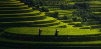 Nord, Centre ou Sud du Vietnam