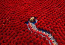 Vietnam avec enfants : Guide complet pour un voyage en famille réussi au Vietnam Vietnam avec enfants