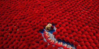 Vietnam avec enfants