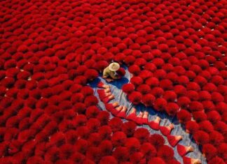 Vietnam avec enfants : Guide complet pour un voyage en famille réussi au Vietnam Vietnam avec enfants