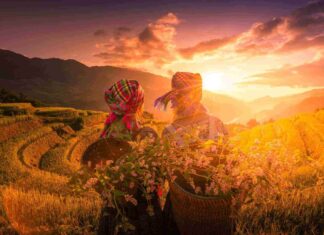 Vol pas cher Vietnam