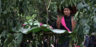 Croyance au Vietnam 2