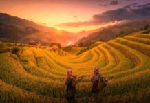 Pourquoi voyager au Vietnam en été (juin, juillet, août) ? Guide complet pour découvrir le Vietnam en saison verte voyager au Vietnam en été