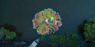 Voyager au Vietnam pendant la basse saison