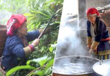 Les bains thérapeutiques des Dao rouges à Sa Pa : un soin authentique, apaisant et précieux, signature du bien-être vietnamien bains aux herbes médicinales des Dao rouges 1