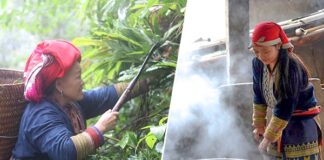 bains aux herbes médicinales des Dao rouges 1