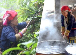 Les bains thérapeutiques des Dao rouges à Sa Pa : un soin authentique, apaisant et précieux, signature du bien-être vietnamien bains aux herbes médicinales des Dao rouges 1