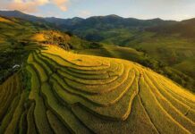 Voyager au Vietnam : les lieux à ne pas manquer du Nord au Sud – itinéraires inspirants, conseils et saisons idéales Que visiter Vietnam