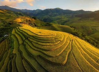 Voyager au Vietnam : les lieux à ne pas manquer du Nord au Sud – itinéraires inspirants, conseils et saisons idéales Que visiter Vietnam