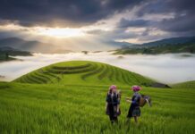 Vietnam en saison des pluies : une période étonnamment idéale pour voyager — découvrez pourquoi ! Saison des pluies au Vietnam 1