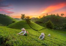 voyager au Vietnam en automne