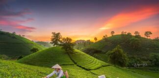 voyager au Vietnam en automne