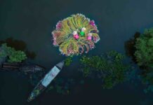 Voyager Vietnam pendant le Tet