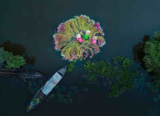 Voyager au Vietnam pendant le Tet ou Têt : Avantages et Inconvénients – Ce qu’il faut absolument savoir Voyager Vietnam pendant le Tet