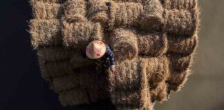 Hôtels au Vietnam et services pour enfants