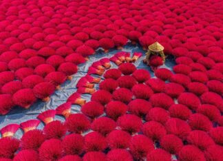 Traitement paludisme Vietnam