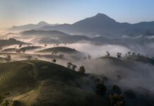 Vietnam Familles Seniors