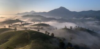 Vietnam Familles Seniors