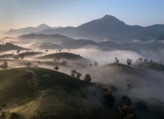 Voyager au Vietnam en famille ou pour les seniors : conseils et destinations adaptées pour un séjour serein et inoubliable Vietnam Familles Seniors