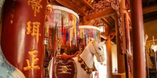 Cheval et éléphant au Vietnam 2