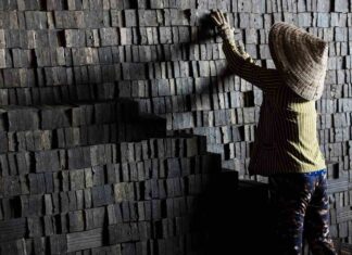 Le Vietnam en petit groupe : partage, découverte et authenticité / Voyage au Vietnam en petit groupe Voyage au Vietnam en petit groupe