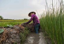 Meilleur trek Vietnam