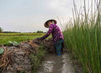 Meilleur trek Vietnam