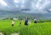 Nord du Vietnam en famille : Le guide ultime des activités avec enfants au Vietnam Nord du Vietnam en famille