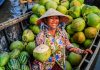 Vietnam en 15 Jours : Pourquoi partir en décembre ? Météo, itinéraires, conseils Vietnam 15 jours en décembre