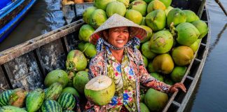 Vietnam 15 jours en décembre