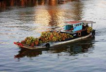 Vietnam en 15 jours : Nord, Centre et Sud, que choisir ? Vietnam Nord Centre Sud