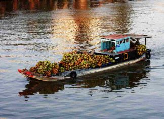 Vietnam en 15 jours : Nord, Centre et Sud, que choisir ? Vietnam Nord Centre Sud
